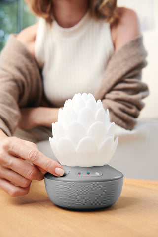 Skip Hop Nattlampa Med Gråtsensor Succulent