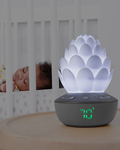 Skip Hop Nattlampa Med Gråtsensor Succulent