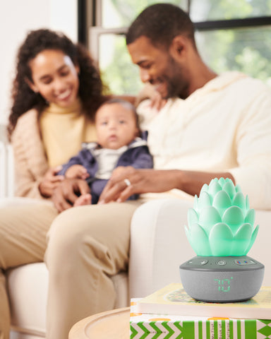Skip Hop Nattlampa Med Gråtsensor Succulent