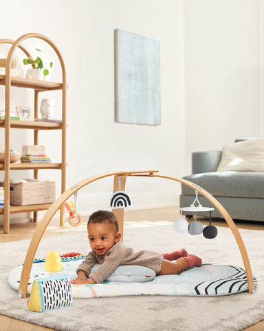 Skip Hop Babygym Discoverosity