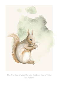 Thumbnail for Oh, Poppy! Poster Nova (21x30cm)