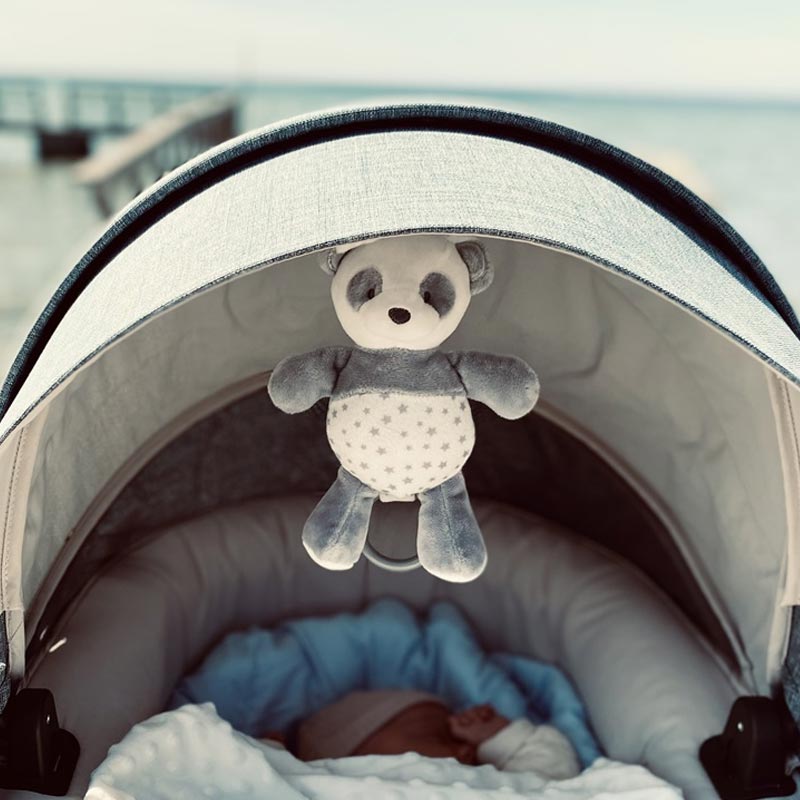 Fresh Kid Speldosa Panda! Panda! Grå