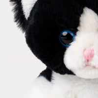 Thumbnail for Teddykompaniet Gosedjur Kattkompisar Mojje Svart 23cm