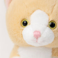 Thumbnail for Teddykompaniet Gosedjur Kattunge Beige 18cm