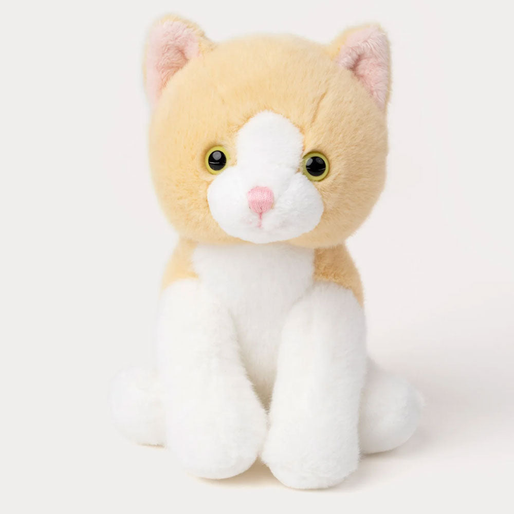 Teddykompaniet Gosedjur Kattunge Beige 18cm