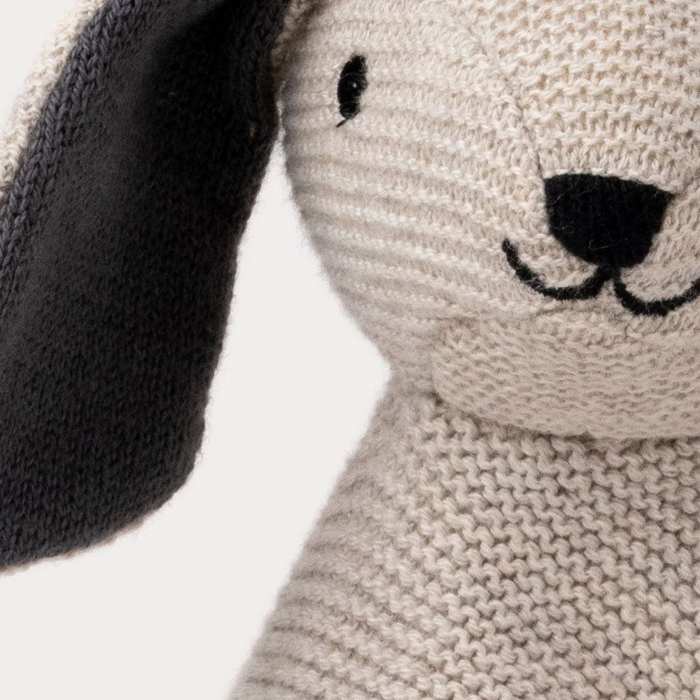 Teddykompaniet Teddy Organic Snuttefilt Hund Beige Stickad 24cm