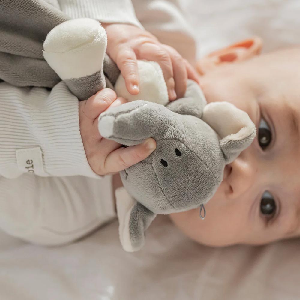 Teddykompaniet Diinglisar Snuttefilt Elefant Grå