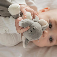 Thumbnail for Teddykompaniet Diinglisar Snuttefilt Elefant Grå