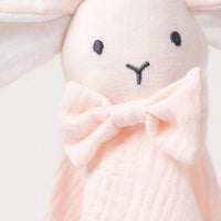 Thumbnail for Teddykompaniet Diinglisar Snuttefilt Kanin Muslin Babyrosa