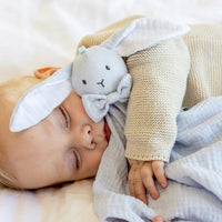 Thumbnail for Teddykompaniet Diinglisar Snuttefilt Kanin Muslin Babyblå