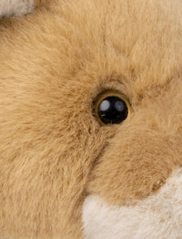 Thumbnail for Teddykompaniet Gosedjur Naturtrogen lejonhona 43cm