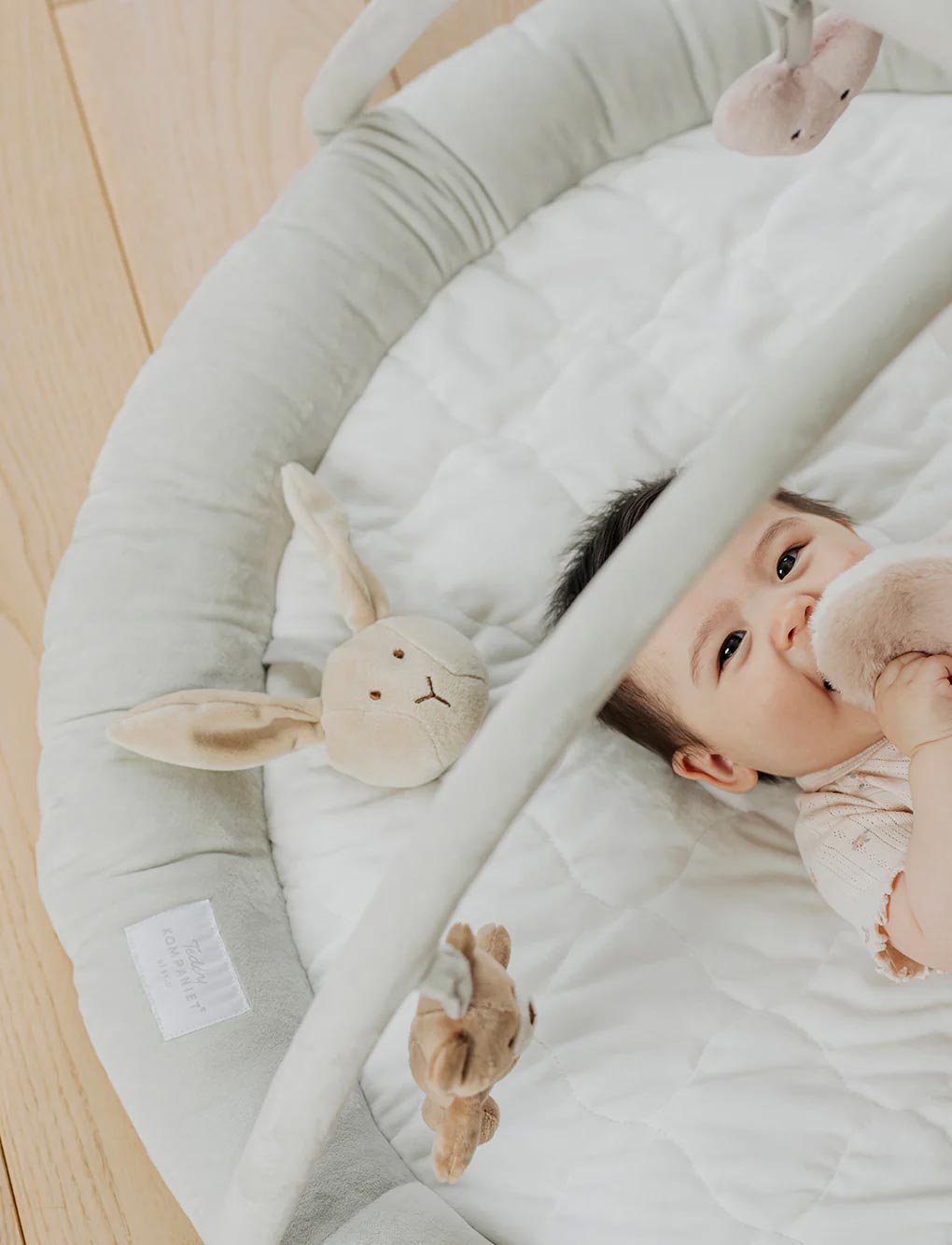Teddykompaniet Babygym Diinglisar