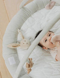 Thumbnail for Teddykompaniet Babygym Diinglisar