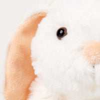 Thumbnail for Teddykompaniet Speldosa Lollan Kanin Creme 27cm