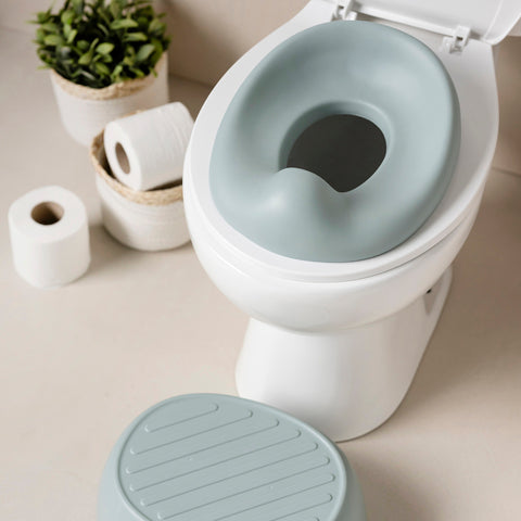 Nattou Potta 3-in-1 Sage Green