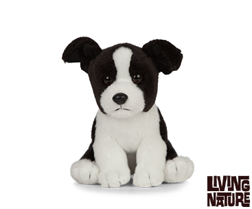 Keycraft Border Collie Puppy