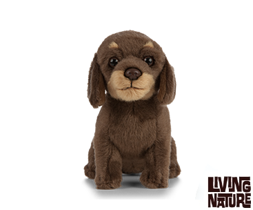 Keycraft Dachshund Puppy