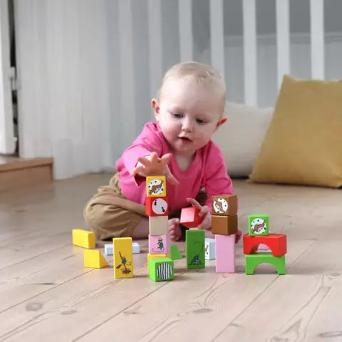 Pippi Byggeklodser (30 dele)