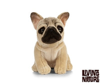 Thumbnail for Sitting French Bulldog