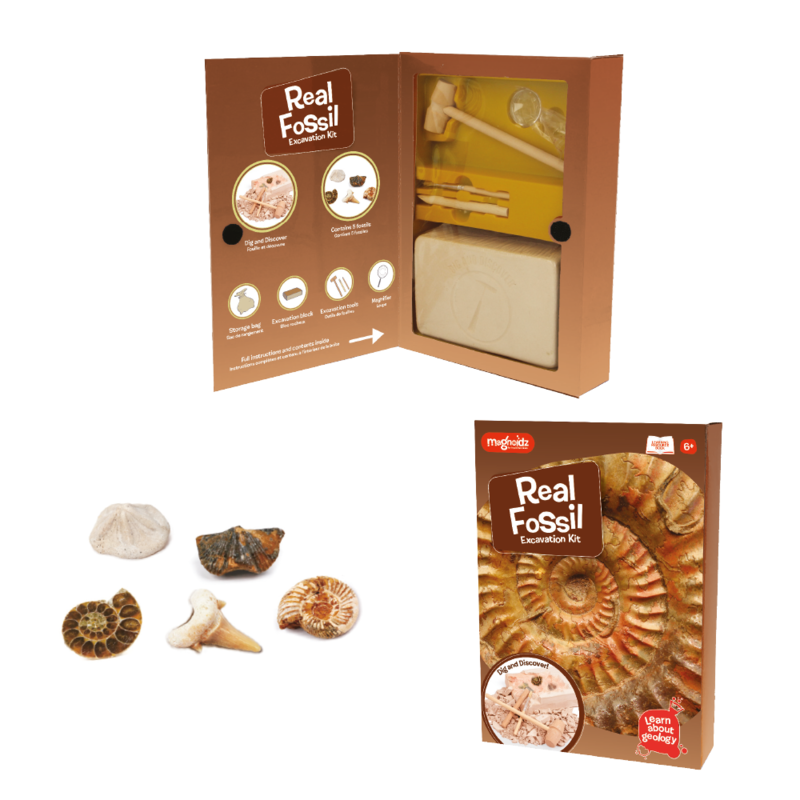 Keycraft Fossil Dig Kit