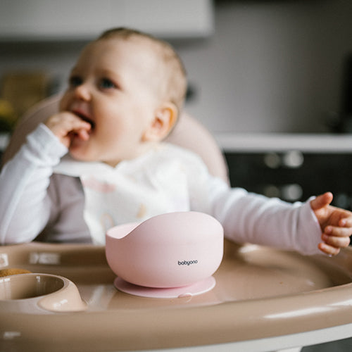 Babyono Matskål Rosa Silicon Sugpropp