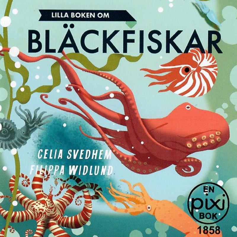 Lilla boken om bläckfiskar av Celia Svedhem och Filippa Widlund (Pixibok)