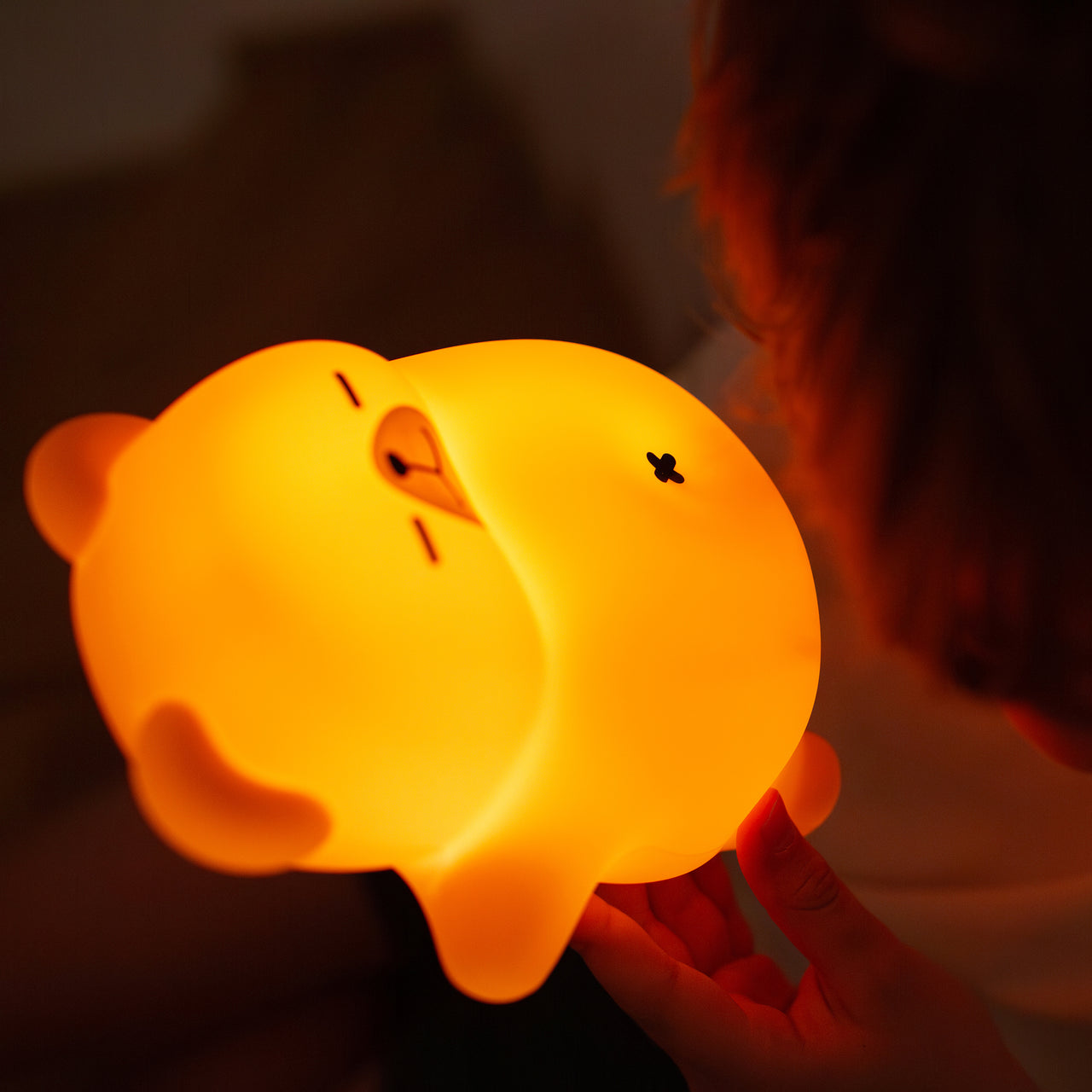 Mary's LED-Nattlampa Snarkande Nalle (USB-laddning)