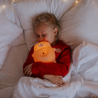 Thumbnail for Mary's LED-Nattlampa Snarkande Nalle (USB-laddning)
