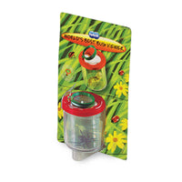 Thumbnail for nv8020_664f1b1f8fa6d