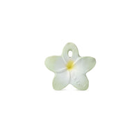 Thumbnail for ol-chewy-flower-mint_661d0090a7eda