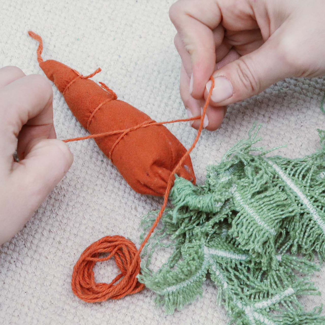 ol-diy-cathy-the-carrot_6639e8d44518d