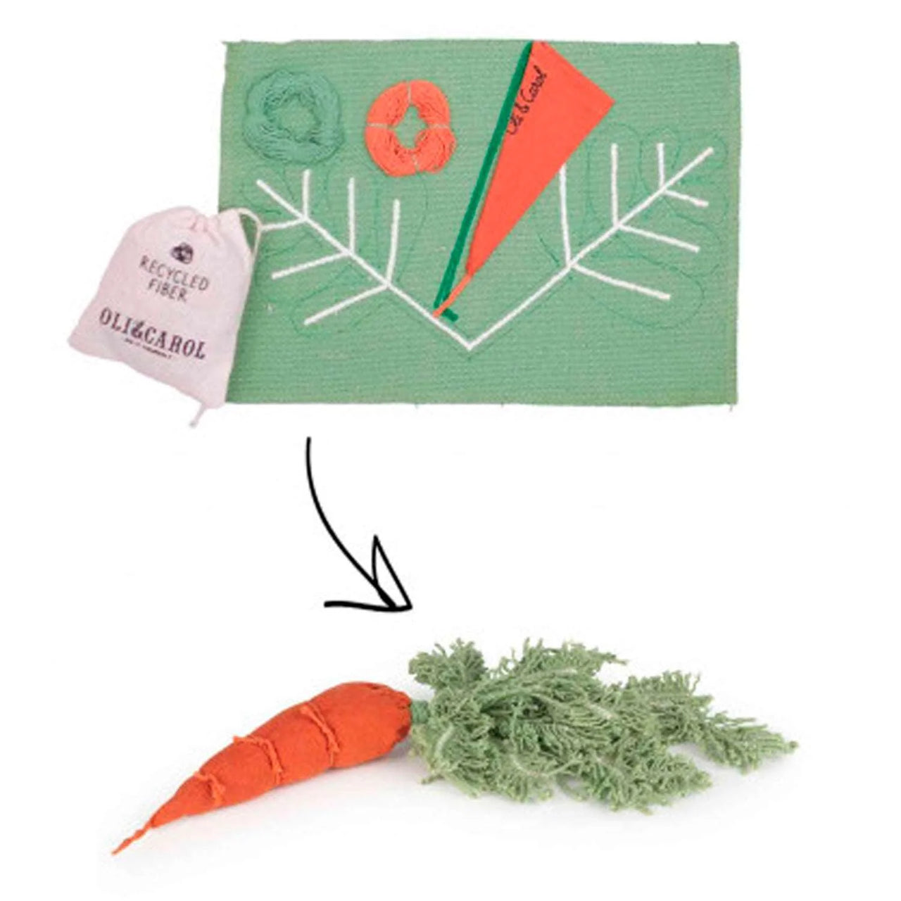 DIY Cathy the Carrot