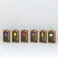 Thumbnail for ol-rattle-cauliflower_661d0c0140a2f