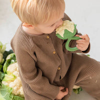 Thumbnail for ol-rattle-cauliflower_661d0c9396e26