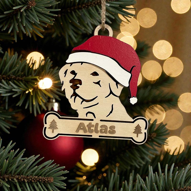 Santa Paws - Julhänge med hundmotiv & graverat namn