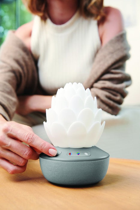 Skip Hop Natlampe Med Grædesensor Succulent