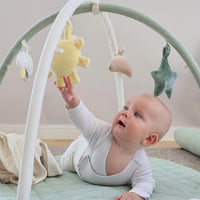 Thumbnail for Vinter & Bloom Meadow Babygym Green Fields